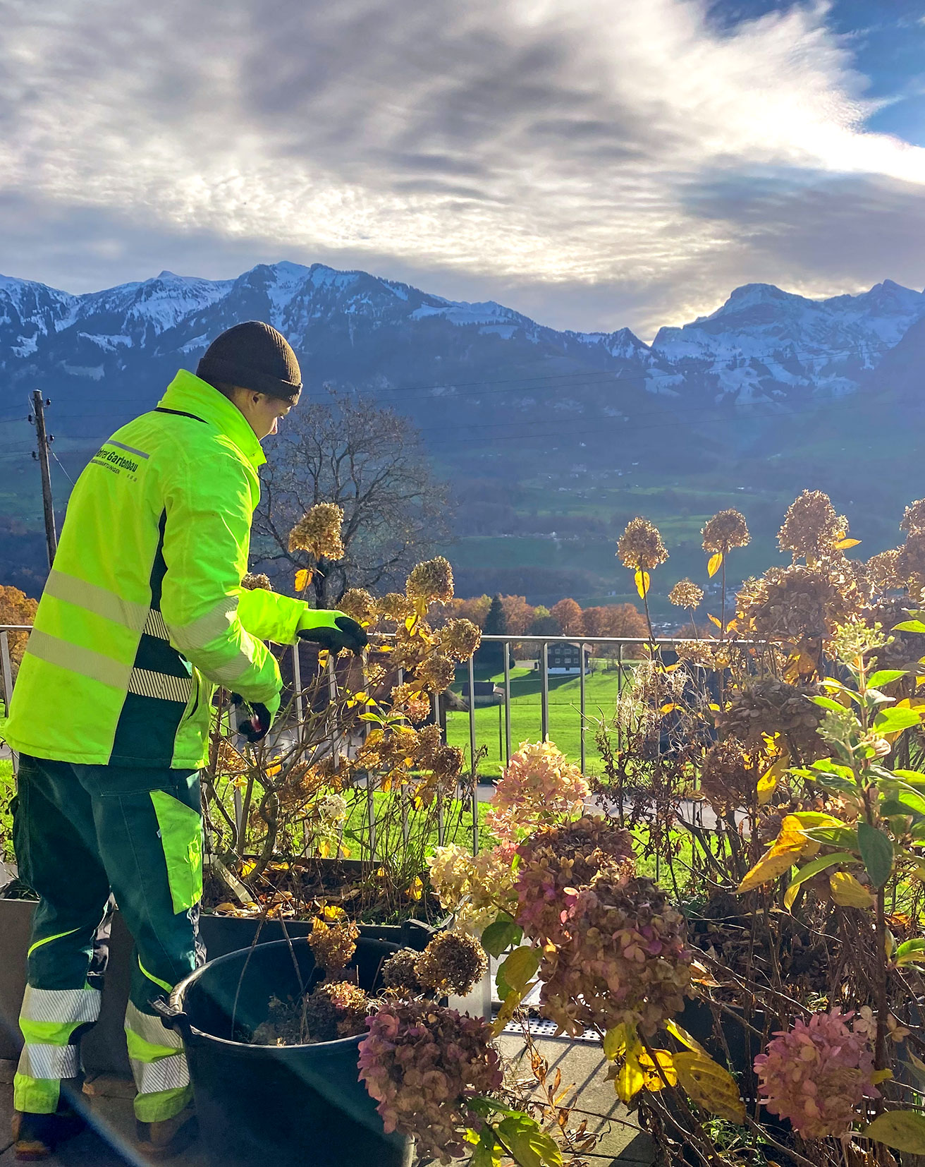 Winterschnitt Unterhalt Pflege