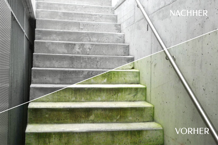 Algen- und Moosvertilger Treppe vorher nachher